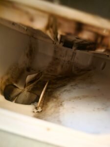 Zdjęcie WhatsApp 2025-11-15 o 16.52.16_55f4a26a